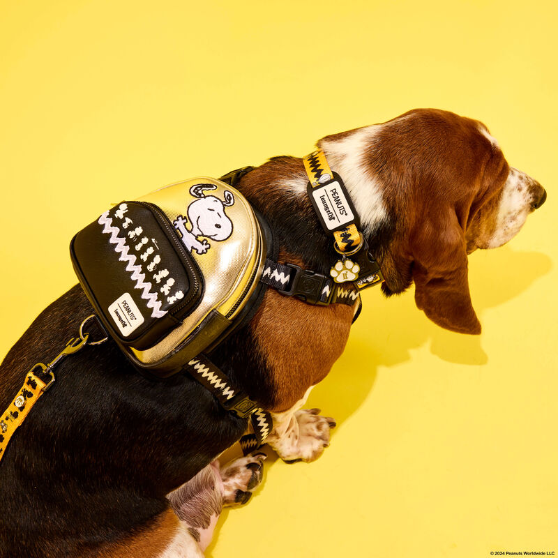 Peanuts 75th Anniversary Snoopy & Gang Dog Harness (Small)